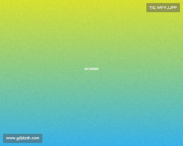 战地5有团队竞技吗